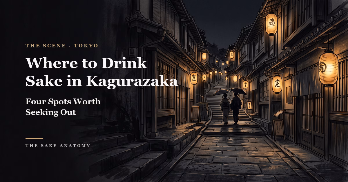 Kagurazaka stone alley at night, eyecatch