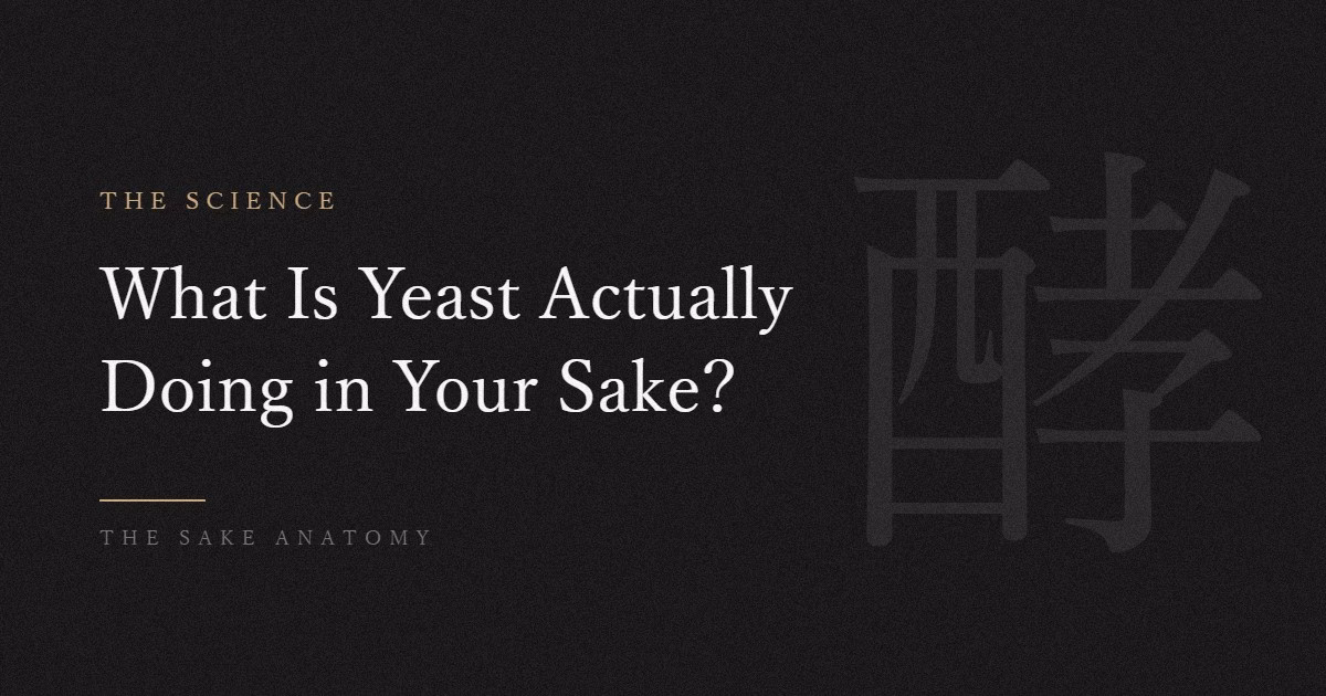 sake yeast