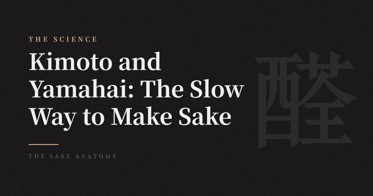 kimoto yamahai difference